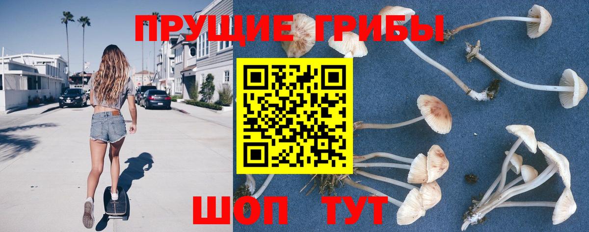 Галлюциногенные грибы GOLDEN TEACHER  Вход с VPN  Сухой Лог 