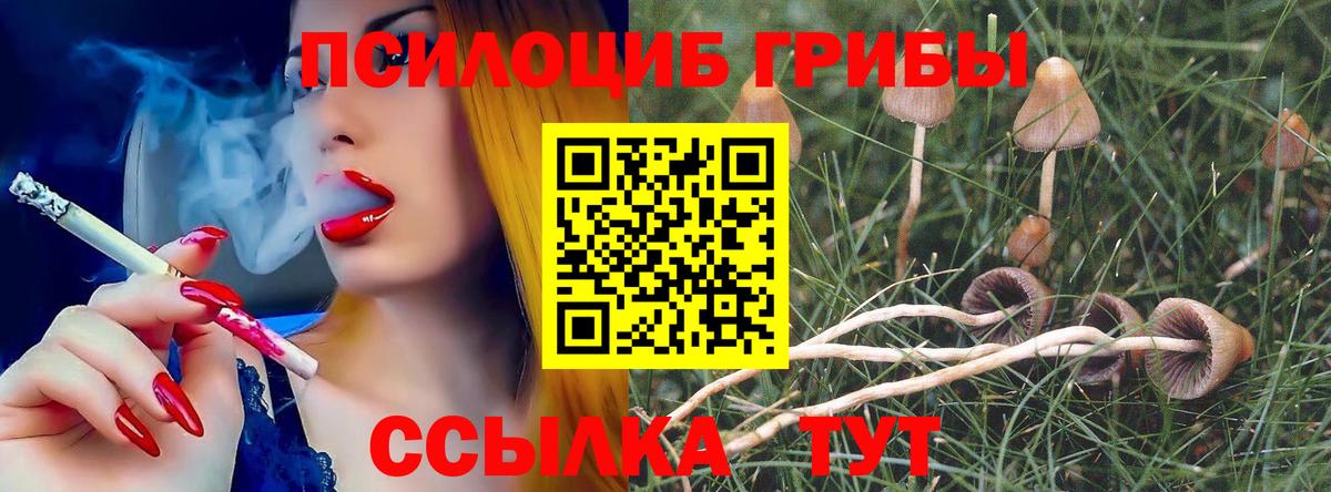 Псилоцибиновые грибы Cubensis Сухой Лог